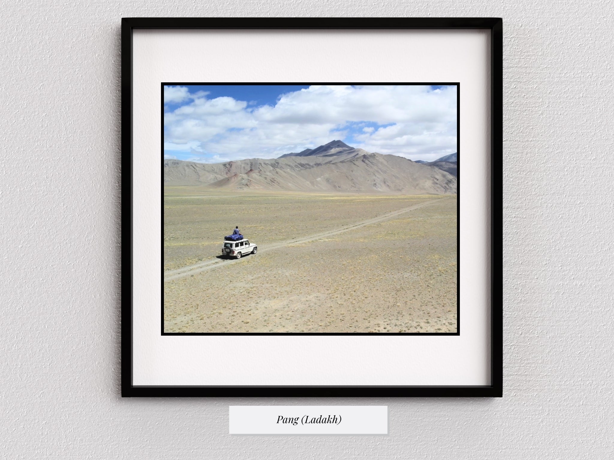 The Desert Drifter